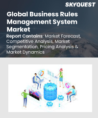 Global Business Rules Management System Market