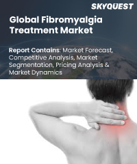 Global Fibromyalgia Treatment Market