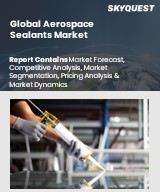 Global Avionics Market