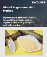 Global Sugarcane Wax Market