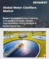 Global Water Clarifiers Market