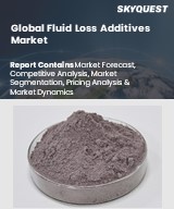 Global Fluid Loss Additives Market