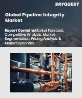 Global Pipeline Integrity Market