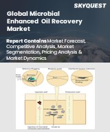 Aeroderivative Gas Turbine Market