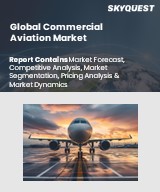 Global Maritime Patrol Aircraft Market