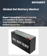 Global Gel Battery Market