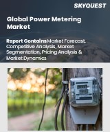 Global Power Metering Market