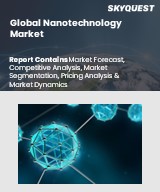 Global Nanotechnology market