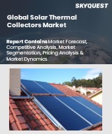 Global Solar Thermal Collectors Market