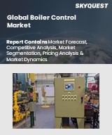 Global Boiler Control Market