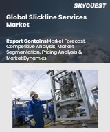 Global Slickline Services Market