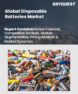 Global Disposable Batteries Market