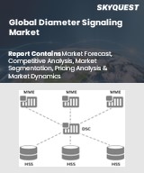 B2B Telecommunication Market