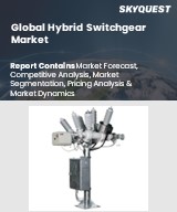 Global Thermal Mass Flow Meter Market