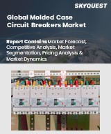 Global Thermal Mass Flow Meter Market