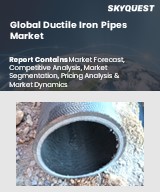 Global Ductile Iron Pipes Market