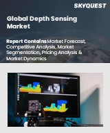 Global Depth Sensing Market