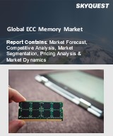 Global ECC Memory Market