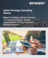 Global Strategy Consulting Market