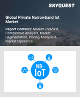 Global Private Narrowband IOT Market