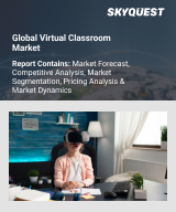 Global Virtual Classroom Market