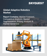 Global Chatbot Market