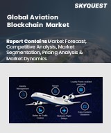 Global Aviation Blockchain Market