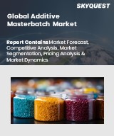 Glycerol Derivatives Market