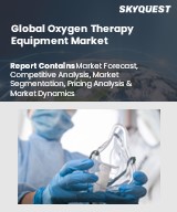 Global Oxygen Therapy Equipment Market