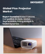 Global Pico Projector Market
