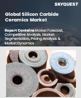 Global Silicon Carbide Ceramics Market