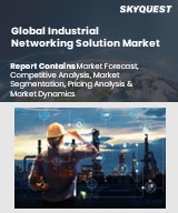 Global Industrial Networking Solution Market