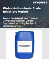 Global Antiscalants Scale Inhibitors Market
