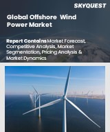 Global Offshore Wind Power Market