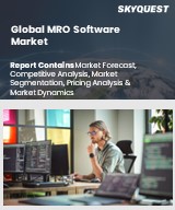 Global MRO Software Market