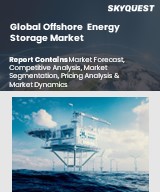 Global Offshore Energy Storage Market