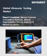 Global Ultrasonic Testing Market