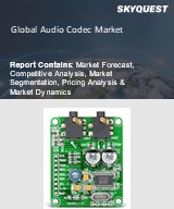 Global Audio Codec Market