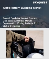 Global Battery Swapping Market