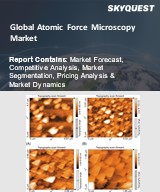 Global Atomic Force Microscopy Market