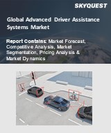 Global Advanced Driver Assistance Systems Market