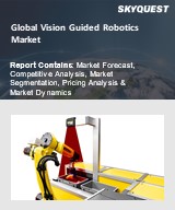 Global Vision Guided Robotics Market