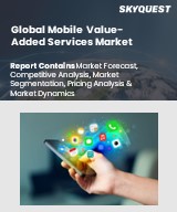 Global Wholesale Voice Carrier Market