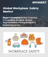 Global Workplace Safety Market