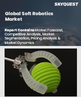 Global Disinfection Robots Market