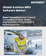 Global Aerospace Materials Market