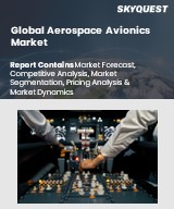 Global Aerospace Avionics Market