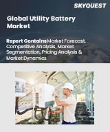 Global Utility Battery Market