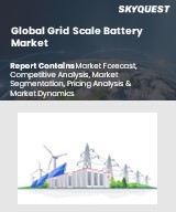 Global Grid Scale Battery Market