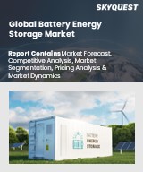 Global Battery Energy Storage Market